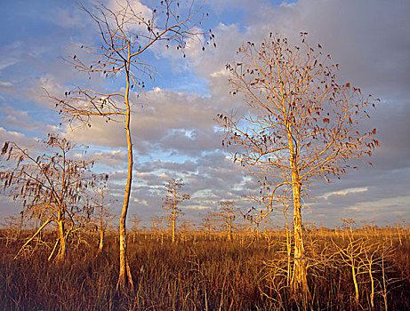lô miền bắc