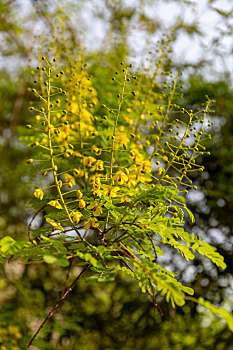 soi cầu 366com