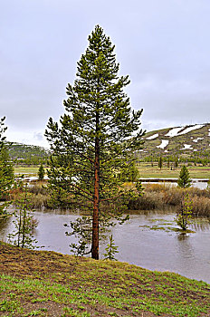 du doan w